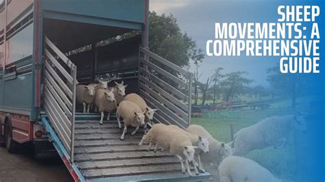 Q&A CPH AND LIVESTOCK MOVEMENTS NEW RULES.